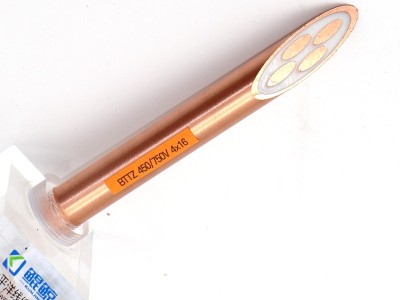 bttz電纜有五芯的嗎？