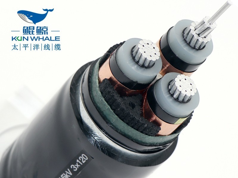 電纜廠家供zc-yjlv22-8.7/10kV-3x240鋁芯鎧裝電纜 zc-yjlv22-8.7/10kV-3x240鋁芯高壓電纜