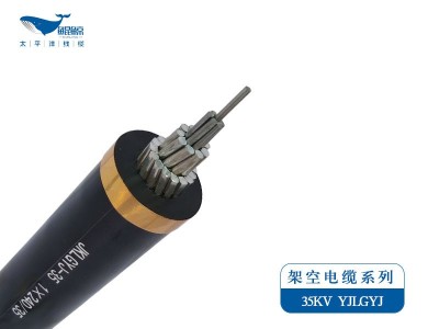 架空電纜系列JKLYJ，JKLGYJ 0.6/1KV