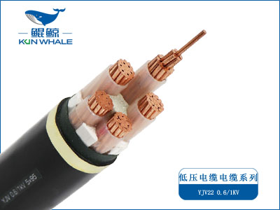 高低壓電線(xiàn)電纜廠(chǎng)家